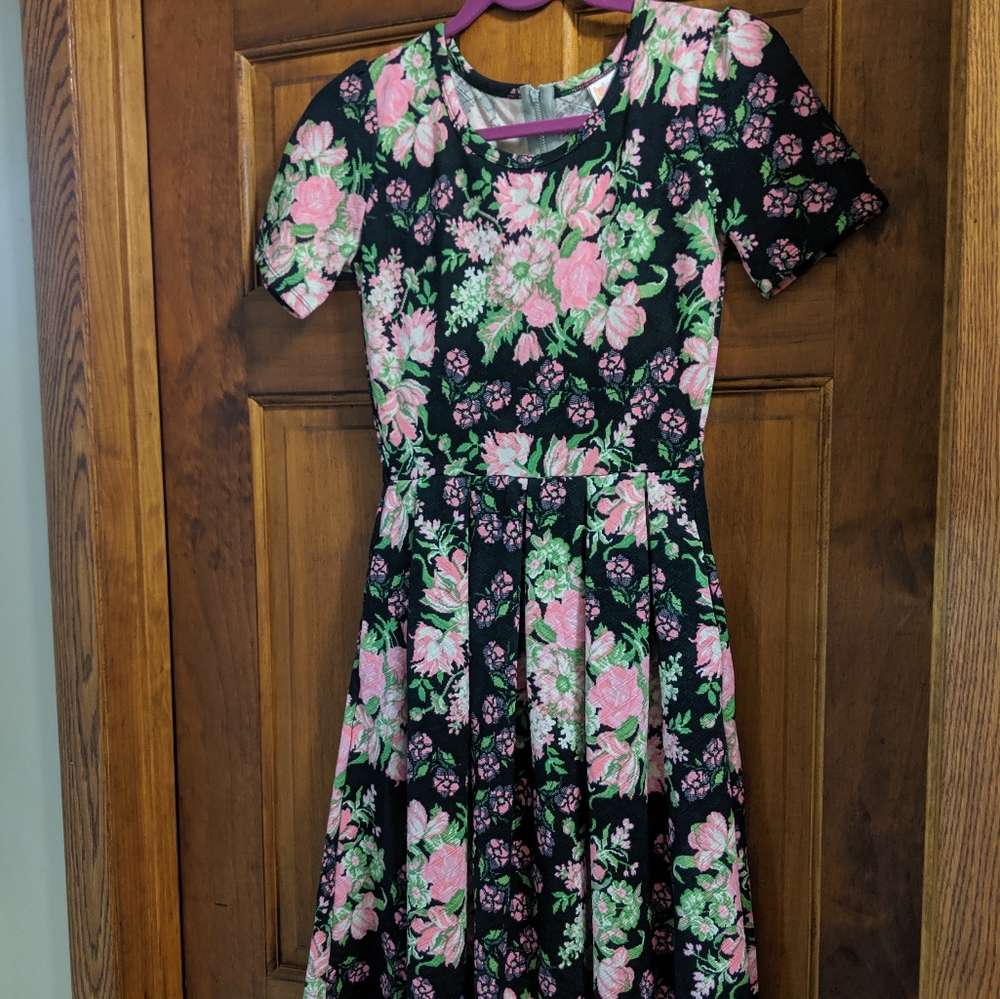 XS LLR Amelia *2 for $25*